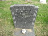 image of grave number 269938